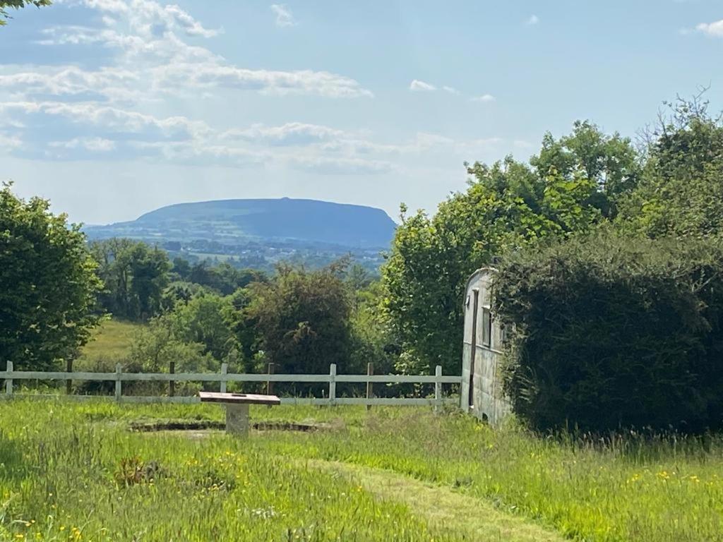Clover Cottage Sligo Eksteriør bilde