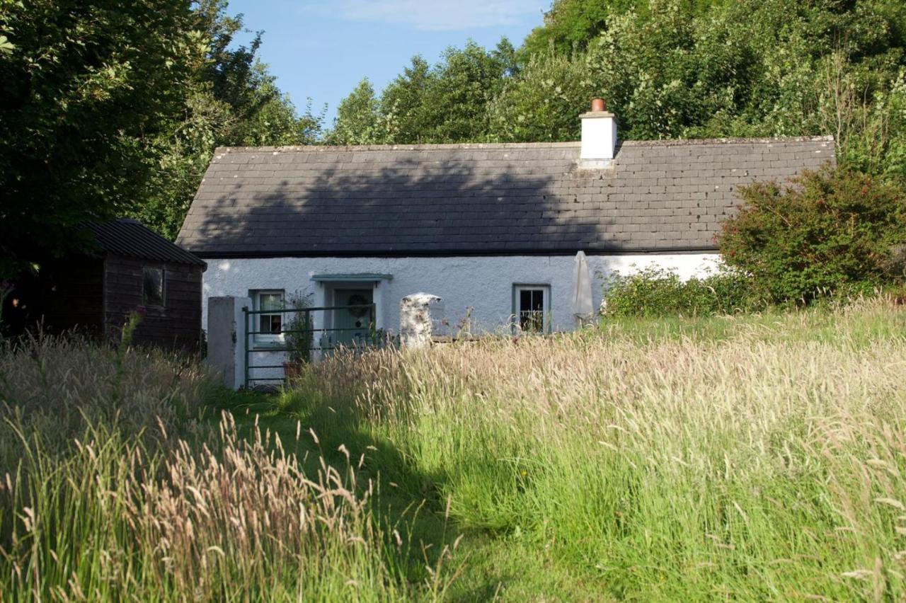 Clover Cottage Sligo Eksteriør bilde