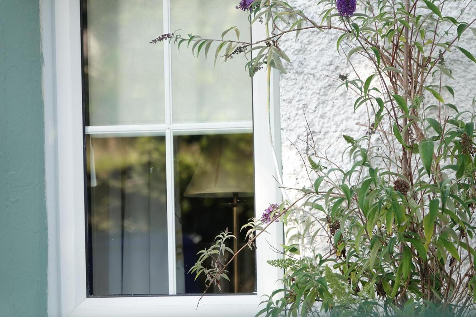 Clover Cottage Sligo Eksteriør bilde